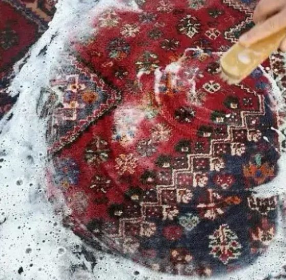 Nettoyage de tapis à Nice — La Clinique d'Orient