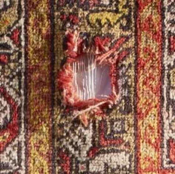 Traitement anti-mites de tapis à Cannes — La Clinique d'Orient